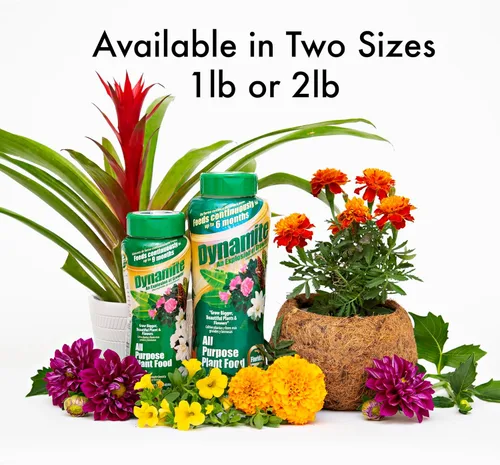 Miniatura 3 de Dynamite 605951 Alimento multiusos para plantas de interior y exterior, 1 libra
