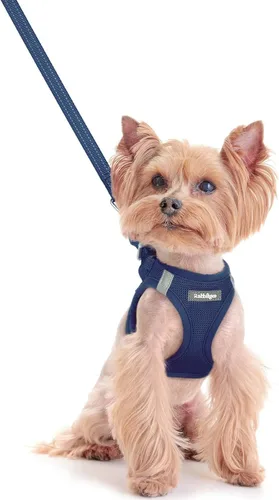 Miniatura 30 de rabbitgoo Juego de arnés para perro de tamaño pequeño y correa, chaleco ligero suave para cachorro, arnés de malla transpirable para mascotas