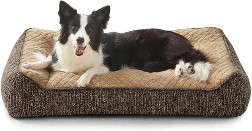 Miniatura 27 de JOEJOY Camas ortopédicas XL para perros de tamaño grande, extra gruesas, con apoyo y laterales, sofá cama ultrasuave para perros grandes, color Beige