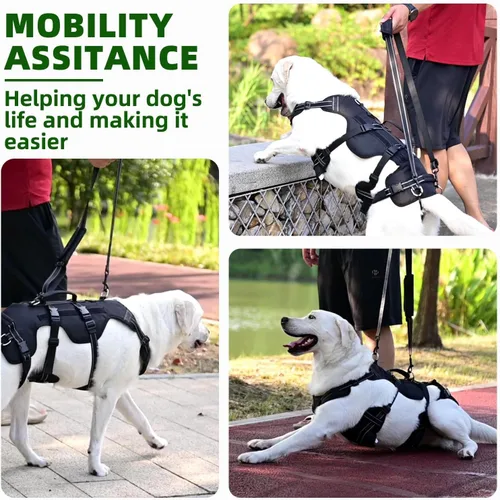 Miniatura 3 de PUPTECK Arnés de elevación para perros para perros de tamaño mediano y grande, cabestrillo de rehabilitación para soporte de pata trasera, arnés