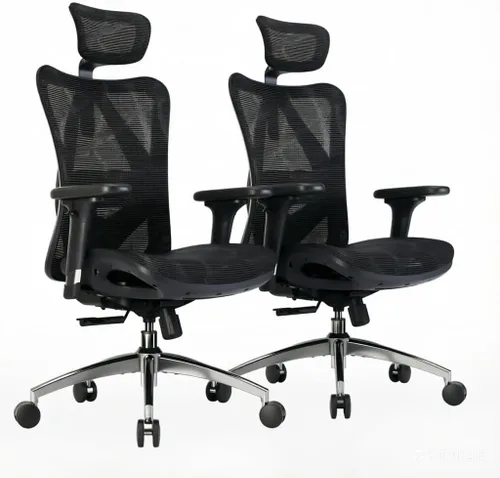 Miniatura 15 de SIHOO M57 Silla de oficina ergonómica de malla, silla de escritorio con respaldo alto para el hogar con reposabrazos 3D, soporte lumbar y Gris