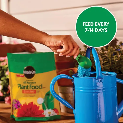 Miniatura 10 de Miracle-Gro - Alimento soluble en agua para plantas multiusos, fertilizante para todas las plantas de interior o exterior, incluyendo rosas, flores