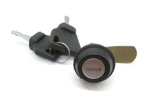 Cerradura de parrilla con 2 llaves (número de pieza 162/03434 333/C3143 334/Y6285) por Aries