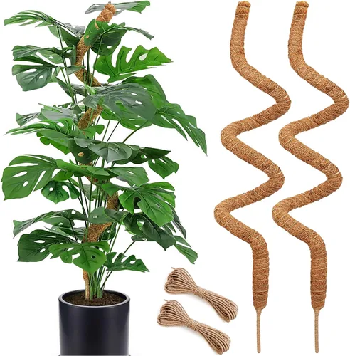 Miniatura 9 de Poste de musgo de 48 pulgadas, poste de musgo flexible para plantas Monstera, postes de musgo altos para plantas trepadoras de interiores, soporte