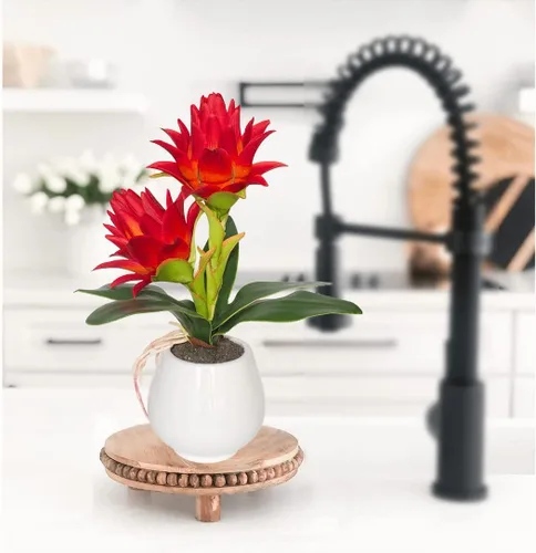 Bromelia roja en maceta, flores artificiales con jarrón para decoración del hogar y la oficina, bonsái de planta tropical sintética estética, 13.4