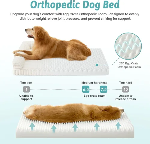 Miniatura 4 de COZY KISS Cama para perros pequeños de piel de conejo sintética, sofá ortopédico de espuma de 30 x 20 pulgadas con lados, funda extraíble lavable