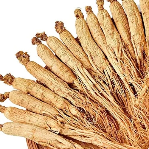 Miniatura 4 de Ginseng entero orgánico orgánico natural puro Ginseng blanco de montaña Ginseng seco Ginseng secado al sol, 20-26 raíces/17.64 oz, 17.64 oz/caja.