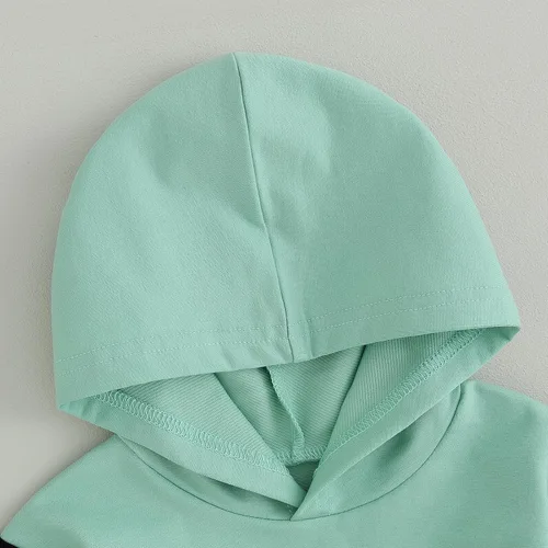 Miniatura 252 de Conjunto de ropa de otoño e invierno para bebé y niño, sudadera larga con capucha y pantalones para niños pequeños, 6, 12, 18, 24 meses, 2T