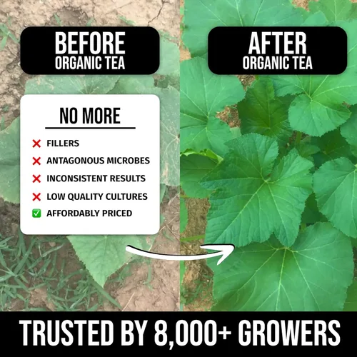 Miniatura 3 de Té de compost instantáneo (5 onzas) – Probiótico para plantas y potenciador de rendimiento para hidroponía y todo tipo de jardinería Fórmula