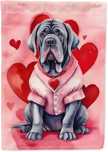 Miniatura 66 de Caroline's Treasures DAC5292CHF - Bandera de Border Collie My Valentine House para porche, grande, con manga para porche, para colgar en la pared
