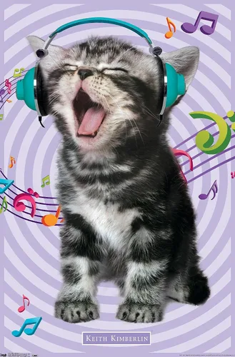 Miniatura 8 de Trends International Keith Kimberlin - Gato - Póster de pared cantando, 14.725 x 22.375 pulgadas, versión con marco de madera tipo granero