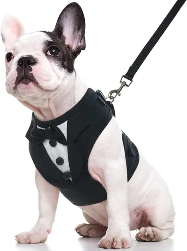 Kuoser Arnés de esmoquin para perro, arnés ajustable para mascotas sin tirones para perros pequeños y medianos, traje de boda para perros con Negro