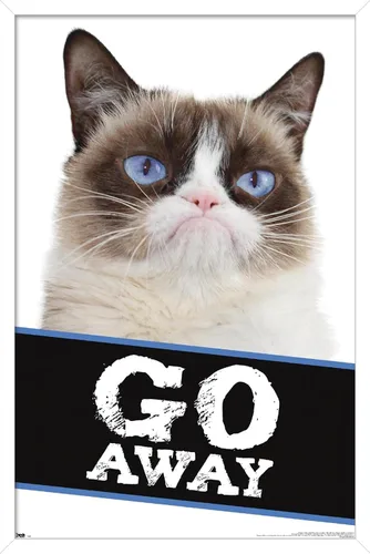 Miniatura 12 de Trends International Grumpy Cat - Póster de pared con texto en inglés «Go Away», 14.725 x 22.375 pulgadas, versión enmarcada de madera de granero