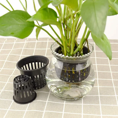 Miniatura 7 de Paquete de 40 macetas de red de 3 pulgadas y 2 pulgadas, macetas de plástico ligeras de red económicas para hidroponía, cultivo en interiores