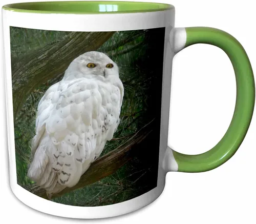 Miniatura 13 de 3dRose mug_154800_4 - Taza con diseño de búho blanco nieve posado en una rama contra un fondo verde, 11 onzas, color negro