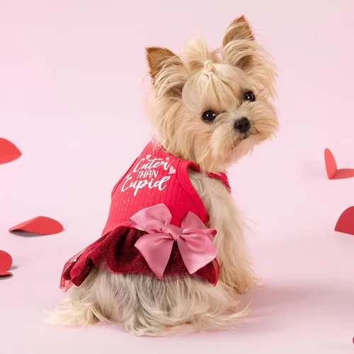 Miniatura 2 de Fitwarm Cuter Than Cupid - Vestido de tul para perro, linda ropa para chicas, ropa divertida para mascotas, rojo borgoña, talla S