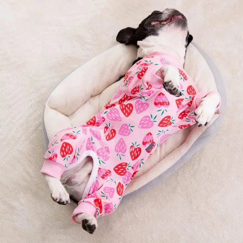 Miniatura 5 de Traje de recuperación quirúrgica para perros pequeños, mameluco para cirugía hembras, pijamas para perros pequeños, pijama de manga larga, vendajes