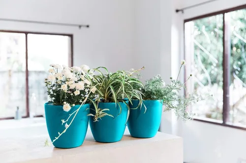 Miniatura 8 de GARDENIX DECOR Macetas de riego automático para plantas de interior, paquete de 3 – Maceta con indicador de nivel de agua para plantas, herramienta
