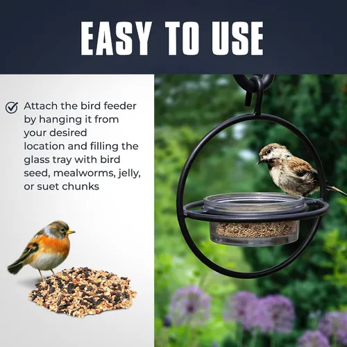 Miniatura 5 de Monarch Abode Comedero colgante para pájaros al aire libre – Comedero colgante Zazu con cuenco de vidrio transparente y percha de metal para pájaros