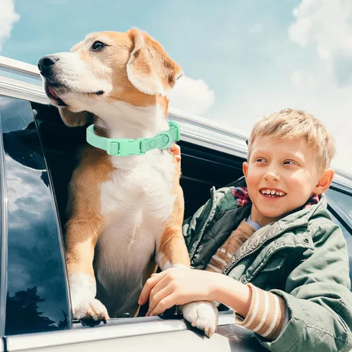 Miniatura 3 de Collar de perro impermeable de goma suave con hebilla de seguridad, collares ajustables para mascotas para perros pequeños, medianos y grandes Verde