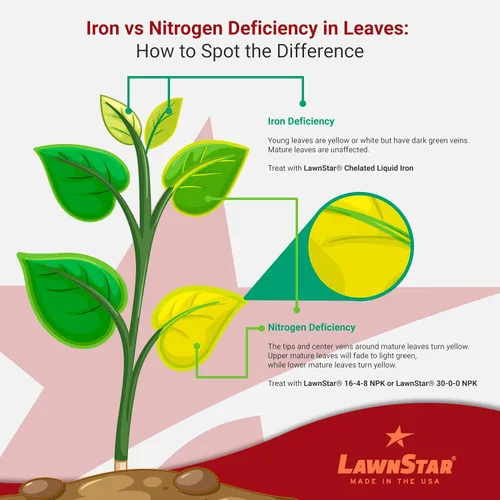 Miniatura 5 de LawnStar Hierro líquido (32 onzas) para plantas, multiusos, adecuado para césped, flores, arbustos, árboles, trata la deficiencia de hierro, el daño