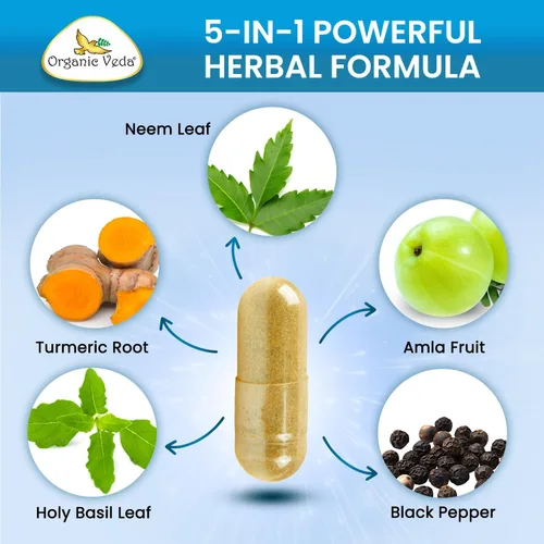 Miniatura 4 de Organic Veda Cápsulas de cúrcuma Neem – Complejo herbario 5 en 1 con fruta Amla, albahaca santa, pimienta negra – Suplemento inmunológico