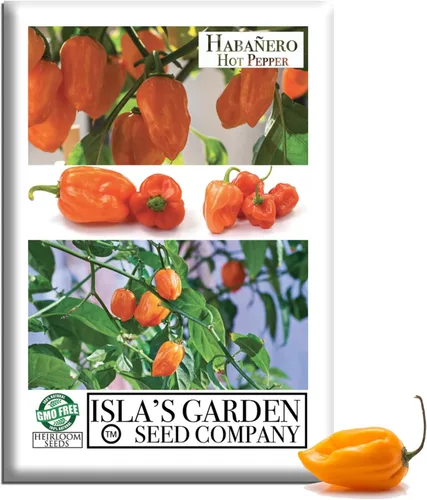 Semillas de habañero para plantar, más de 25 semillas tradicionales por paquete, pimiento picante y picante, semillas de jardín de Isla (semillas de