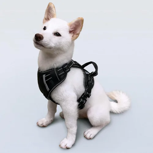 Miniatura 13 de Arnés antitirones para perro pequeño con 2 hebillas de liberación rápida y mango de fácil control, chaleco suave reflectante sin estrangulamiento