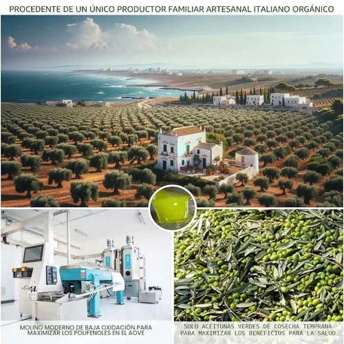 Miniatura 5 de WellEatable Robust +1,200 mg/kg rico en polifenoles Olio Italiano, 2024/25 cosecha temprana orgánico extra virgen aceite de oliva de Italia, probado