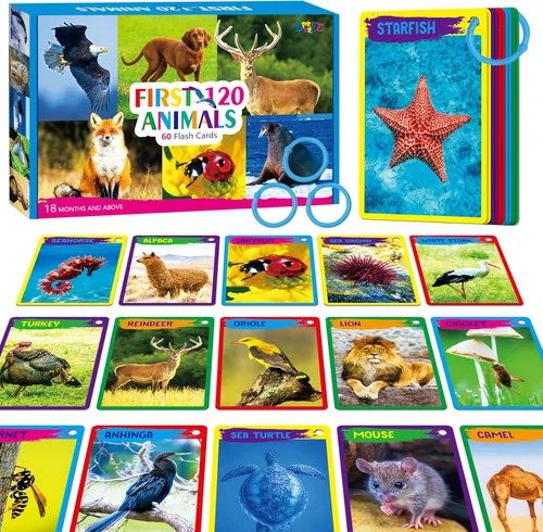 Miniatura 19 de 51 PIEZAS Tarjetas cognitivas en español para bebés, impresas a doble cara, 7 en 1 tarjetas coloridas, alfabeto, números, alimentos, animales