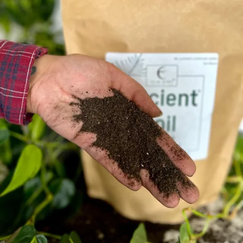 Miniatura 6 de Elm Dirt Suelo antiguo prémium para todas las plantas, orgánico para uso en exteriores e interiores, suelo de jardín para el crecimiento