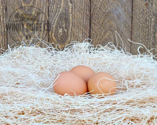 Miniatura 8 de Almohadillas naturales para anidar pollo, paquete de 10 unidades, Aspen Excelsior Bedding - Revestimientos para cajas nido de gallina - Fabricado