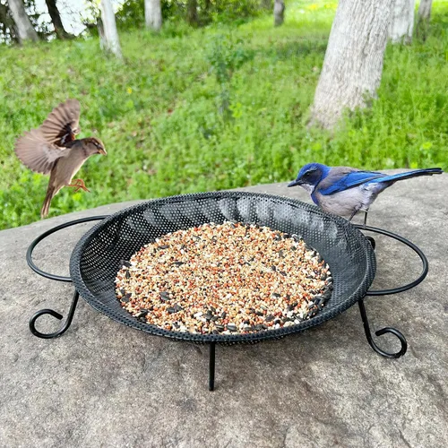 Miniatura 9 de CQAIRIOU Bandeja de comedero de pájaros colgante de alta calidad, tamaño de 11.8 pulgadas, bandeja de malla de acero inoxidable, comedero de pájaros