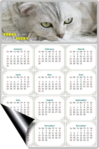 Miniatura 2 de Calendario magnético 2025 – Imanes del calendario – Today is my Lucky Day – Resistente a la decoloración, desgarros y agua – Temática de gato 1
