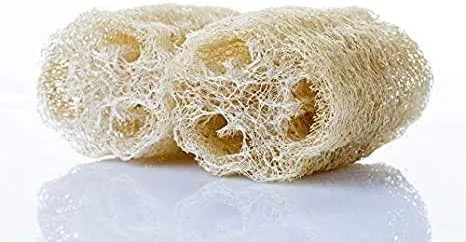 Semillas de calabaza de lufa - 20 semillas - Calabaza esponja Luffa, vegetal exótico, fácil de cultivar. Fabricado en Estados Unidos, se envía desde