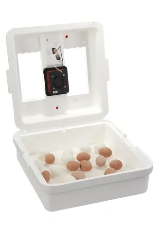 Miniatura 6 de [Modelo actualizado 2025] Incubadora digital Little Giant® de aire quieto Capacidad de 41 huevos Incubadora de huevos de pollo para incubación