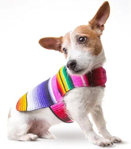 Miniatura 9 de Poncho de perro hecho a mano de Authentic Mexican Blanket; ropa para perros, suéter, abrigo, xxL, Azul