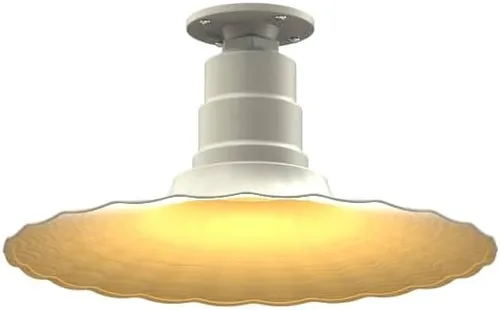 Miniatura 41 de Steel Lighting Co. Colgante Eagle Rock Lámpara montada en el techo Onda radial de 16 pulgadas vástago de 12 pulgadas Acero resistente