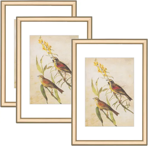 Miniatura 51 de 9x12 Picture Frame Set of 4, Matted Black Simple Modern Brushed Thin Aluminum Metal Photo Frame Fits 6x8 with Mat or 9 x 12 without Mat Vertical and
