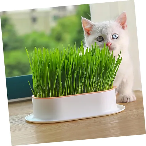 Miniatura 4 de IMIKEYA Caja de plantación hidropónica para gatos de interior, bandeja de cultivo de plástico, maceta para plantas de vivero, contenedores pequeños