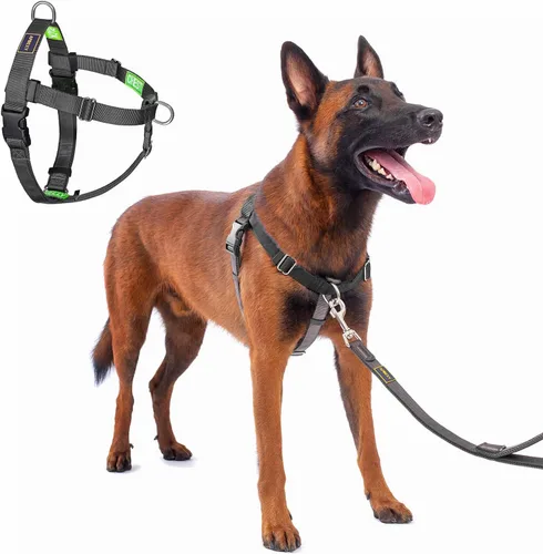 Miniatura 11 de Freedom - Arnés para perro sin tirones, fácil de caminar, deja de tirar con dos anillos en D de acero inoxidable, cómodo, etiquetas de instrucciones