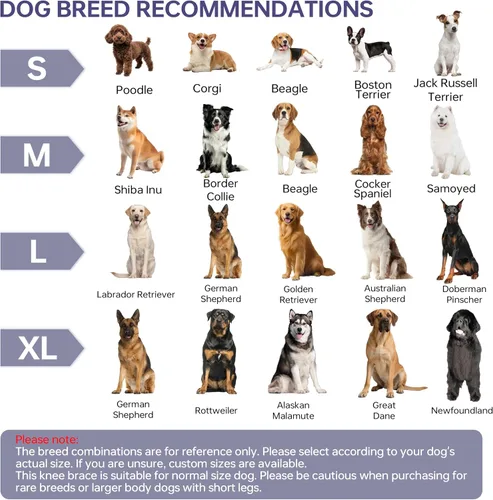 Miniatura 7 de Rodillera para perros para todas las piernas, rodillera ajustable para perros desgarrados en la pierna trasera, mantiene las articulaciones