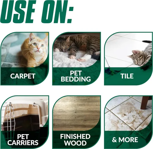 Miniatura 4 de Simple Green Removedor de manchas y olores para gatos, limpiador enzimático para orina, heces, sangre, vómito