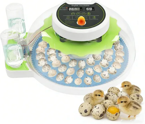 Incubadora de huevos de codorniz para incubar 60 huevos de codorniz con giro automático de huevos y control de humedad, codornices pequeñas