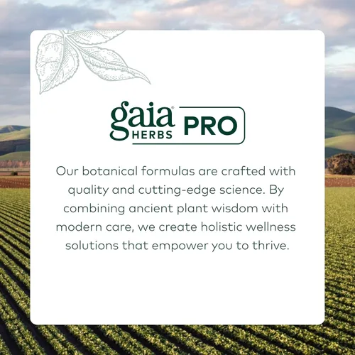 Miniatura 7 de GAIA HERBS PRO Fórmula cognitiva – Suplemento de apoyo para la salud cerebral y el flujo sanguíneo* – Suplemento de apoyo a la circulación* con raíz