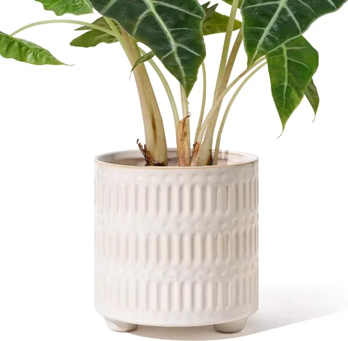Miniatura 8 de STHIE Macetas de cerámica de 5 pulgadas para plantas de interior, macetas de serpiente de cactus azules con drenaje, maceta redonda de diseño único