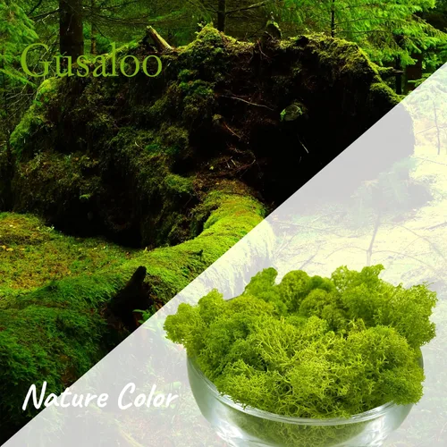 Miniatura 2 de Musgo preservado artificial de Gusaloo para plantas en maceta, musgo natural fresco verde para manualidades, artes, proyectos florales, decoración