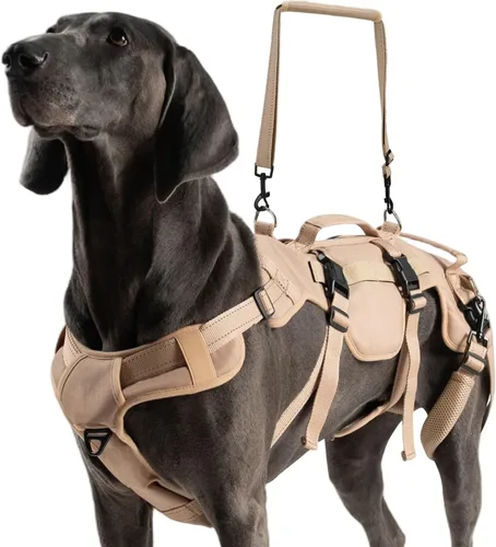 Miniatura 9 de BINGPET Arnés de elevación para perros, cabestrillo de cuerpo completo para perros grandes y medianos con soporte para patas traseras, arnés