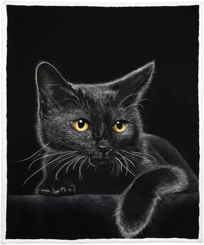 Miniatura 6 de YISUEMEI - Manta Sherpa de gato negro, suave y afelpada, linda manta de forro polar para adultos y amantes de los gatos, 60 x 80 pulgadas