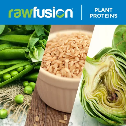 Miniatura 6 de San Nutrition rawfusion Plantas Proteínas en Polvo, natural Chocolate, 1 libra, SAN1041/100/101, 1, 1